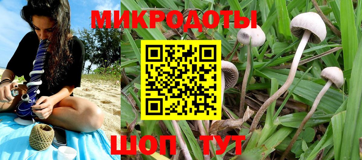 Галлюциногенные грибы Cubensis  Вход с VPN  Вичуга 