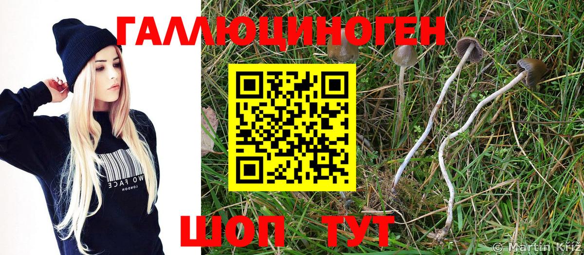 Мефедрон Вичуга